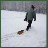 Mickey-Alice & Abby walking in the snow