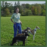 whippets and Patty as NY ASFA trial